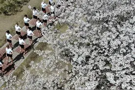 韩国模特樱花树下走秀 似锦繁花衬出好身材图片
