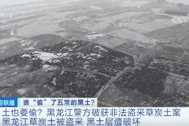 土也有人偷？！盗挖数万平方米！五常黑土层遭破坏！公安机关出手图片