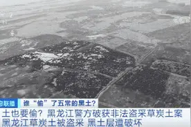 土也有人偷？！盗挖数万平方米！五常黑土层遭破坏！公安机关出手图片