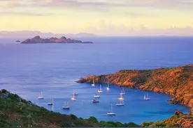 有趣的冷知识又增加了！原来它们的名字都是“大风刮来的”图片