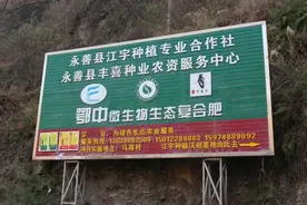 先锋新农人 | 昭通沃柑种植第一人代成江：“品质果”带火了合作社图片