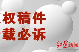 专访“手撕”同行的刘胜军：企业不需要这样的鸡血，任泽平或误导公众图片
