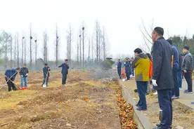 河南省财政厅组织春季义务植树图片