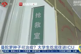 警惕！大学生吃曼陀罗种子祛痘住进ICU，医生：食用3粒就有死亡风险图片