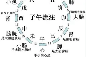 现代养生“十二时辰”｜封面天天见 健康正前方图片