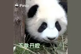 最扎劲的四川方言来啦图片