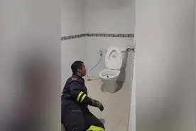 泰国男子上厕所屁股被顶了一下 起身发现马桶里有个蛇头盯着他图片