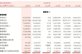 盛京银行2020年业绩深度调整，不良贷款偏离度降至91%图片