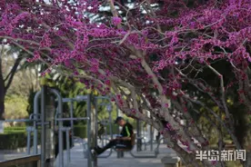 城阳花开正盛 快乘坐这些公交线去赏花图片
