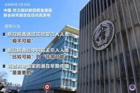 武汉华南海鲜市场不是新冠疫情最初源头！世卫组织报告让他们失望了图片