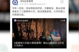 深圳大南山山火原因查明：系人为纵火，嫌疑人有精神病史视频封面