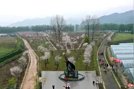 湖南慈利｜在琵琶洲头 邂逅醉美春光图片