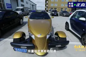 涉黑“电老虎”把房价都推高了？说他们糟蹋地方经济不冤枉图片