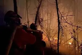 查明！深圳大南山山火系人为纵火，关于嫌疑人有更多披露……图片