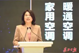 董明珠：选择在武汉投资是英明的决定图片