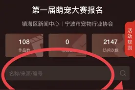 谁是“最萌代言人”？由你来选！萌宠大赛即将开启投票，还有大奖……图片