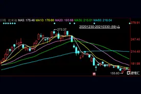 比亚迪的突围困局图片