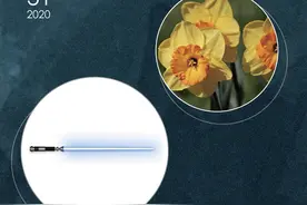 可叛逆可浪漫又能打，这位男演员很迷人丨夜问图片