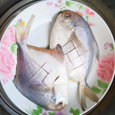 手把手教你做超好吃的#春日时令，美味尝鲜#清蒸鲳鱼
