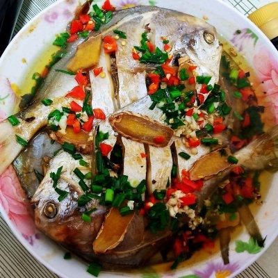手把手教你做超好吃的#春日时令，美味尝鲜#清蒸鲳鱼