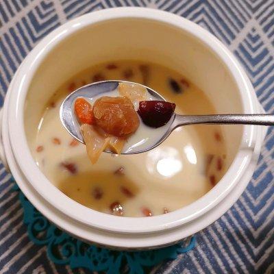 牛奶炖花胶是用什么牛奶 2026年牛奶炖花胶是用什么牛奶好
