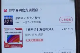 糟心！潍坊市民网购海信电视 屏幕变“大花脸”成摆设图片