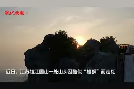 镇江一山头酷似狮子，网友：辛巴，是你吗？图片