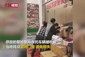 福建大田：三月冰雹 狂风暴雨致行道树连根拔起视频封面