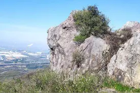 镇江“圌山雄狮”横空出世 网友：不由得想起《狮子王》图片
