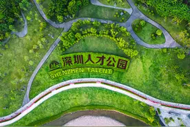 孔雀计划招才十年：深圳的海归还快乐吗？图片
