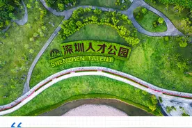 孔雀计划招才十年：深圳的海归还快乐吗？图片