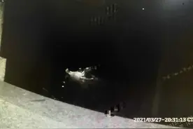 杭州一女子跳河，老公竟在旁边…民警到场后怒了图片
