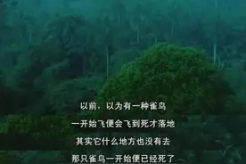 袁咏仪、宁静发文纪念张国荣 | 春天该很好，你若尚在场图片