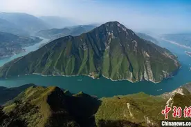 重庆奉节：“诗橙”点亮长江两岸“甜蜜”产业图片
