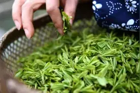 济南专业治疗白癜风医院：喝茶对治疗白癜风有没有好处呢？图片