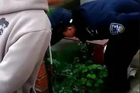 男子在天台私种10余棵罂粟：我只是觉得好看视频封面