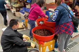 小龙虾上市早！成都本地货最贵超40元/斤，商家：湖北虾大量上市后或降价图片