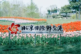 郁见美好！第十二届北京郁金香文化节即将开幕图片
