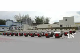 传承百年古法工艺！梅州五华“聚通酱油”别有一番风味图片