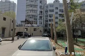 济南一小区几十棵法桐被“砍头”，街道办：树太高存在安全隐患图片