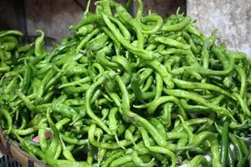 贵阳农贸市场辣椒价格回落！年前10元一斤的长青椒，现在最低已降到1.5元图片