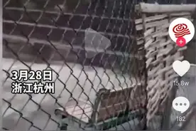 外卖小哥送餐到学校被铁丝网拦住，女大学生竟要求直接投喂：你喂我吧图片