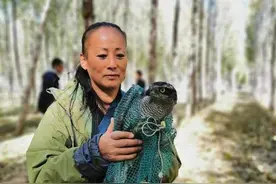 护鸟铁娘子刘懿丹：救过上百万只鸟，这就像打麻将会上瘾图片