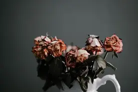 一课译词：自暴自弃图片
