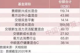 散户比例最高的蔡嵩松，为基民户均仅赚301元！张坤刘格菘刘彦春等顶流基金经理成绩单出来了图片