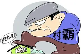 扫黑剑指“村霸”，基层权力不容被窃取图片