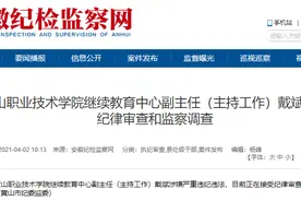 黄山职业技术学院继续教育中心副主任戴斌被查图片