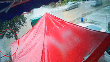 休假在家的他和姐姐突然开车狂飙，没想到却引来点赞无数……图片