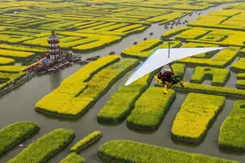 清明节之前，该不该过西方愚人节？图片