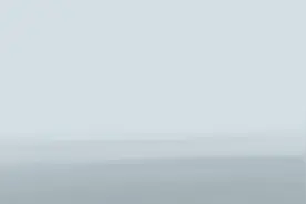 全球连线｜“捡”企鹅的人图片